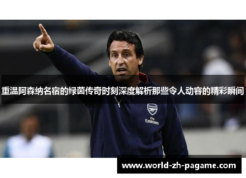 重温阿森纳名宿的绿茵传奇时刻深度解析那些令人动容的精彩瞬间