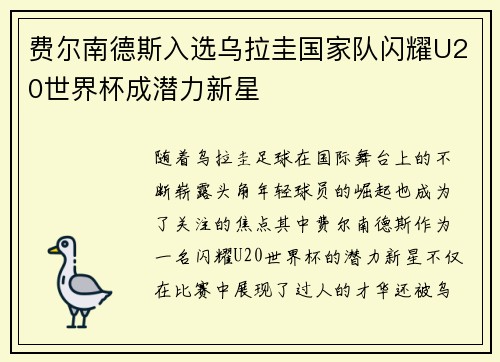 费尔南德斯入选乌拉圭国家队闪耀U20世界杯成潜力新星
