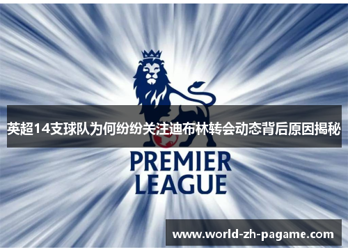 英超14支球队为何纷纷关注迪布林转会动态背后原因揭秘 英超14支球队为何纷纷关注迪布林转会动态背后原因揭秘