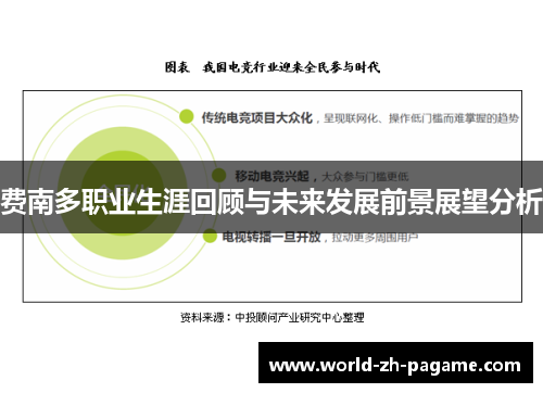 费南多职业生涯回顾与未来发展前景展望分析